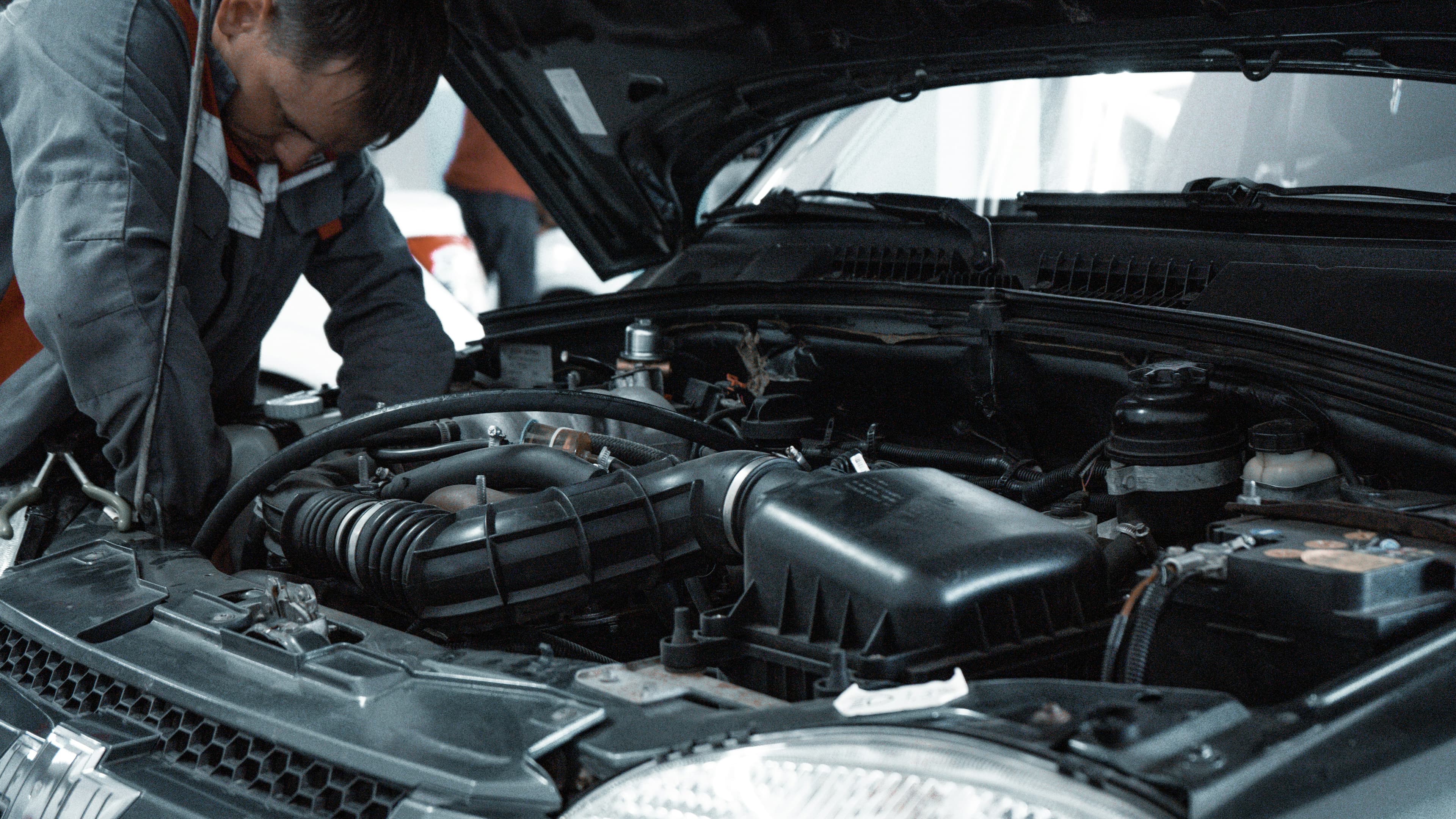 Expert Service